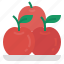 apples, fruit, organic, healthy, fresh, apple fruit 