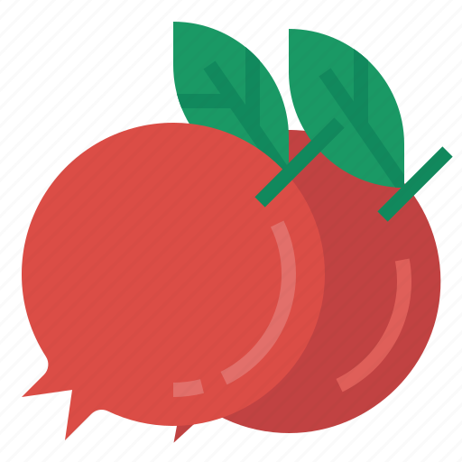 Pomegranate, fruit, healthy, organic, food, tropical fruit icon - Download on Iconfinder