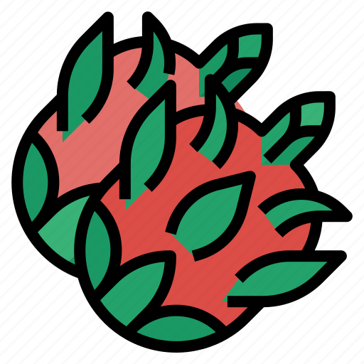 Fruit, healthy, organic, dragon fruit, tropical fruit icon - Download on Iconfinder