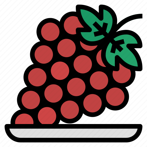 Grape, fruit, bunch, healthy, grapes, wine, wine grapes icon - Download on Iconfinder