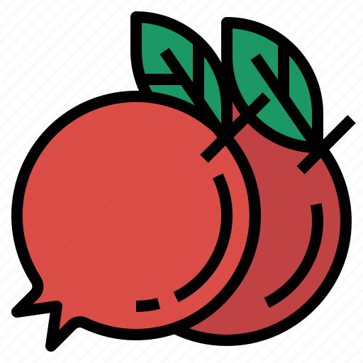 Pomegranate, fruit, healthy, organic, food, tropical fruit icon - Download on Iconfinder