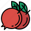 pomegranate, fruit, healthy, organic, food, tropical fruit 