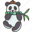 panda, animal, china, wildlife, bamboo 