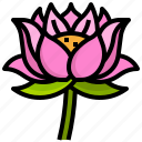 lotus, flower, wellness, garden, blossom