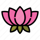 lotus, lotus flower, flower, blossom, garden, meditation, plant
