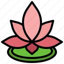 lotus, flower, chinese, botanic, botanical, garden, blossom
