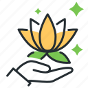 chinese new year, flower, lotus, plant