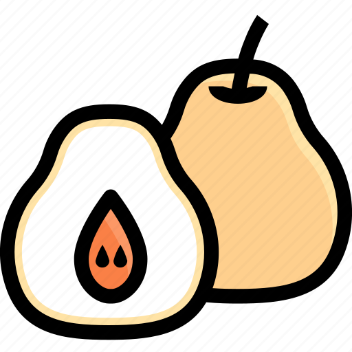 Asian, chinese, fruit, juicy, organic, pear, sweet icon - Download on Iconfinder