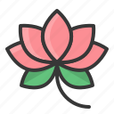 chinese, flower, lotus, new year