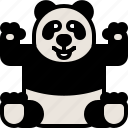 animal, bear, china, cute, panda