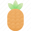 food and drink, pineapple, fruit, tropical, fresh