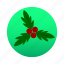christmas, decoration, holidays, holly, luck, mistletoe, xmas 