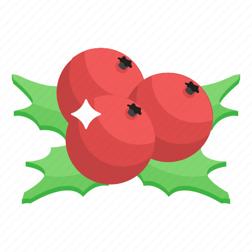 Christmas berries, fruits, healthy diet, healthy food, holly berries, mistletoe icon - Download on Iconfinder