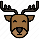 reindeer, deer, animal, winter, xmas, christmas, santa, zoo