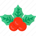 mistletoe, chrismas, winter, decoration, ornament