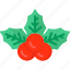 mistletoe, chrismas, winter, decoration, ornament 