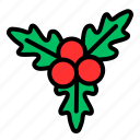 mistletoe, christmas, decoration, xmas, winter, celebration, cherry, leaf, plant