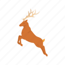 deer, reindeer, rudolph, antlers