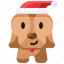 xmas, hat, dog, animal, christmas