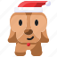 xmas, hat, dog, animal, christmas 