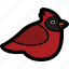 bird, cardinal 