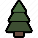 pine, tree, christmas, christmas tree, fir, fir tree, pine tree