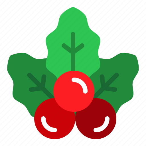 Mistletoe, holly, christmas, xmas, ornament, decoration, nature icon - Download on Iconfinder