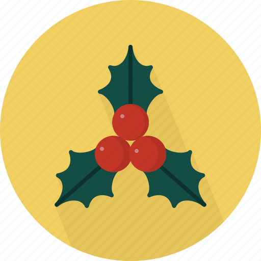 Berries, christmas, circle, december, holiday, holly, winter icon - Download on Iconfinder