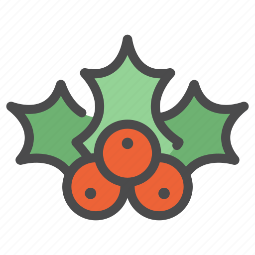Leaf, decoration, holly berry, christmas, holiday, traditional icon - Download on Iconfinder