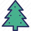 fir tree, christmas tree, tree, pine tree, branch