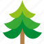 christmas, tree, xmas, forest, winter 