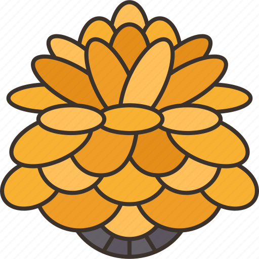 Pine, cone, nature, seasonal, element icon - Download on Iconfinder