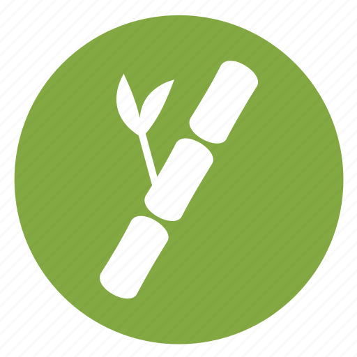 Bamboo, bamboo stick, massage, nature, spa icon - Download on Iconfinder