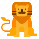 animal, lion