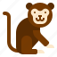 animal, monkey 