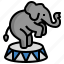 circus, filloutline, elephant, mammal, wildlife, elephants 