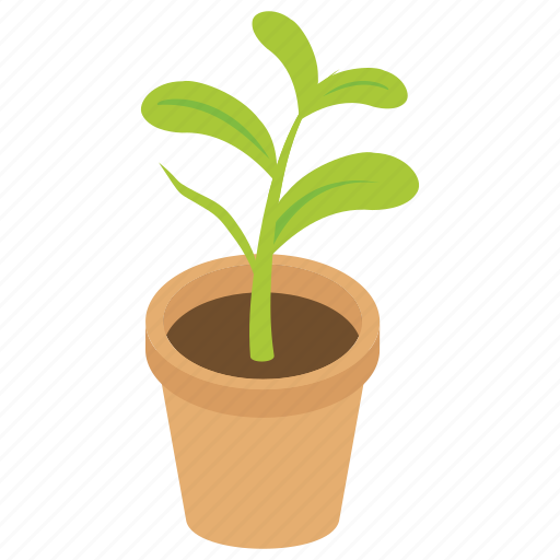 Decorative pot, gardening, houseplant, leaf plant, pot plant icon - Download on Iconfinder