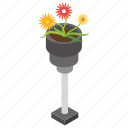 decorative pot, flowery plant, gardening, house plant, pot plant