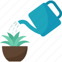 watering, plant, pot, care, hobby