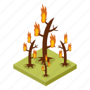 fire, blaze, flames, emergency, wildfire, heat, burning, safety