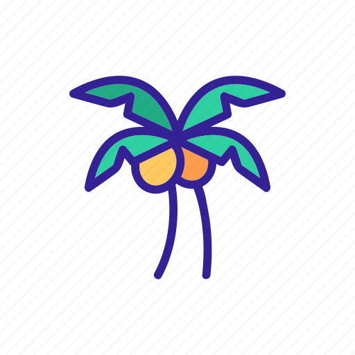 Coconut, contour, food, natural, tropical icon - Download on Iconfinder