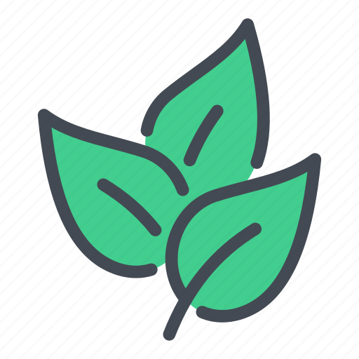 Drink, fresh, green, leaf, leaves, tea icon - Download on Iconfinder