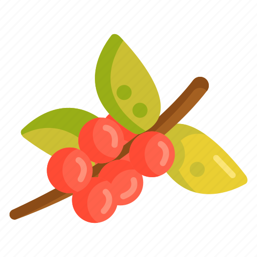 Berries, berry, cherry, coffee, tree icon - Download on Iconfinder