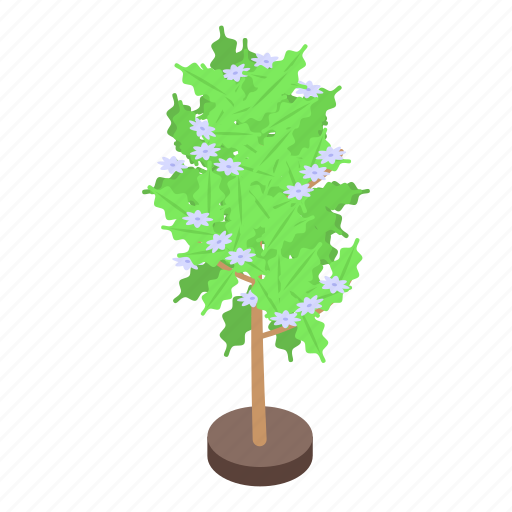 Coffee, bush, isometric icon - Download on Iconfinder