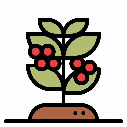 Beans, plant, tree, coffee icon - Download on Iconfinder