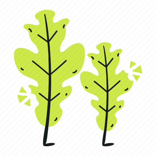 Rheum rhabarbarum, rhubarb leaves, garden rhubarb, vegetable, organic food icon - Download on Iconfinder