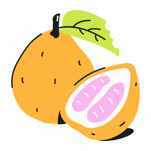 Citrus maxima, pomelo, citrus fruit, healthy food, organic diet icon - Download on Iconfinder