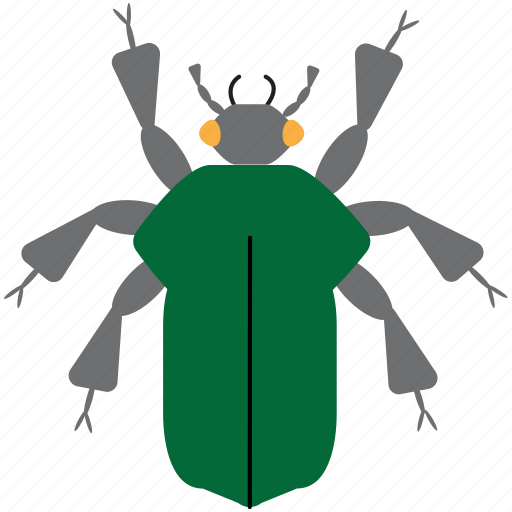 Beetle, color, art, bug, bugs, graphic, insect icon - Download on Iconfinder