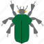 beetle, color, art, bug, bugs, graphic, insect 