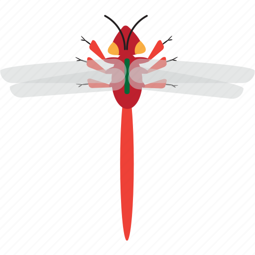 Color, dragonfly, art, bug, bugs, graphic, insect icon - Download on Iconfinder